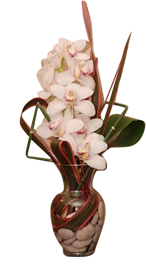 Vase d'orchidée (moyen)